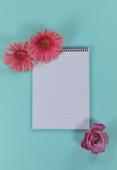 View of a notebook surrounded by pink flowers on blue background