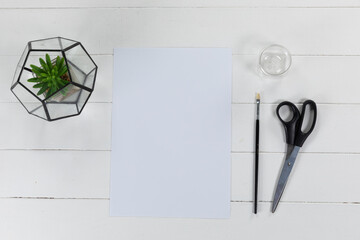 View of a white sheet of paper, a brush and scissors with a green plant on plain white background