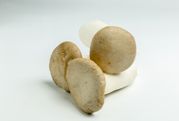 King Oyster mushroom isolated on the white background.
