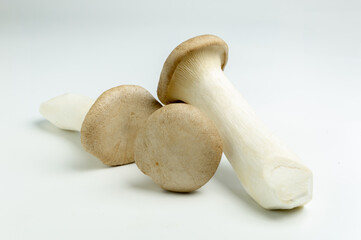 King Oyster mushroom isolated on the white background.