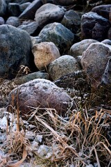 frozen grass and stones during winter no people closeup