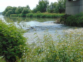 river in the woods