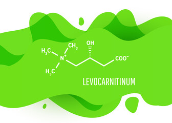 Levocarnitinum structural chemical formula with green liquid fluid gradient shape with copy space on white background