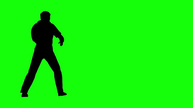 Animation of man silhouette practicing martial arts on green screen