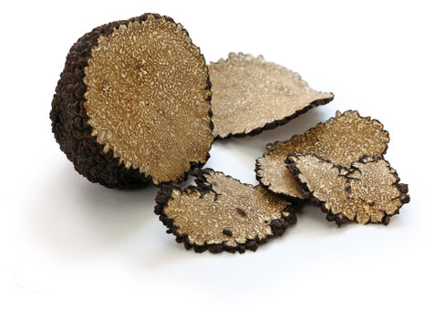 sliced fresh black truffle isolated on white background