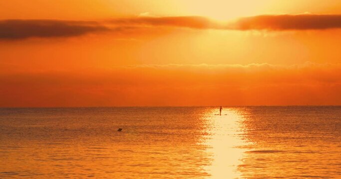 Alba sul mare con sup stand up paddle