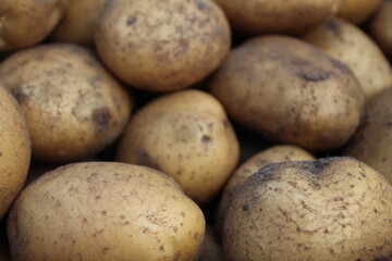 tubers of vegetables potatoes white yellow in the sand close up background food