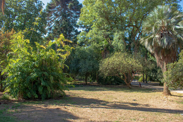 Fototapeta na wymiar Tropical botanical garden, Belem, Lisbon, Portugal