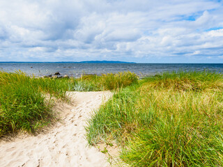 Beach and grass on the southern region of Sweden