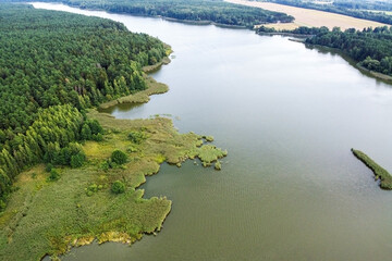 Aerial view of river and forest, summer landscape