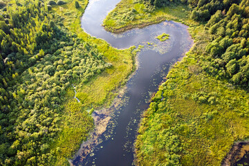 Aerial view of river, green swamp grass, summer landscape. Winding river with overgrown banks, top view