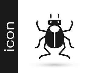 Black Beetle bug icon isolated on white background. Vector.