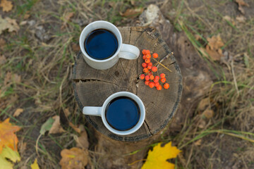 hand holding a cup of coffee