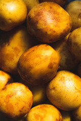 New yellow potatoes for the whole frame close up