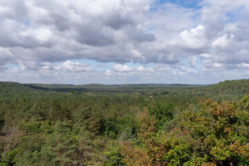 Fototapeta na wymiar View of the Chanfroy plain in Fontainebleau forest