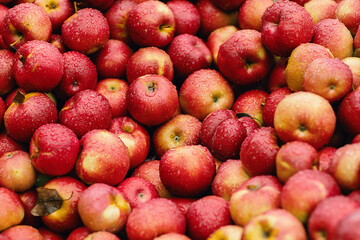 Close up red apples with rain drops on farm market