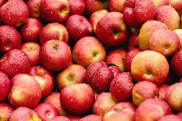 Close up red apples on farm market with rain drops