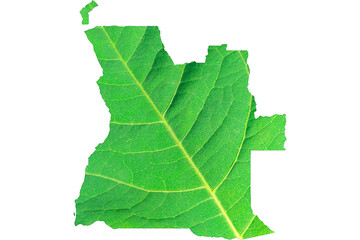 Map of Angola in green leaf texture on a white isolated background. Ecology, climate concept, 3d illustration