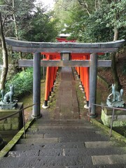 japanese garden gates