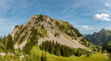 Fototapeta na wymiar Gruyere mountain range, Switzerland 