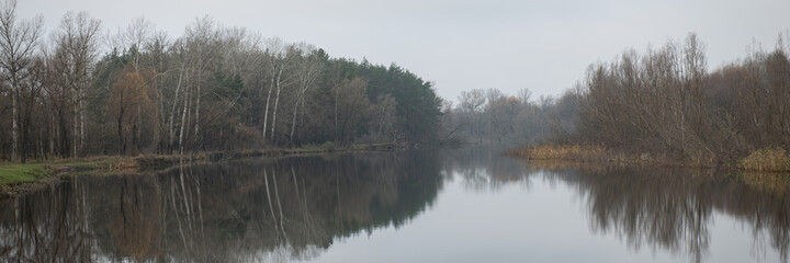 Trees with fallen leaves and a river. Autumn season.