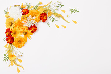 Fototapeta na wymiar yellow and orange flowers on white background