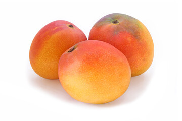 Three red - yellow tasty mango isolated on white