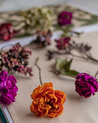 Notebook with dried flowers and leaves