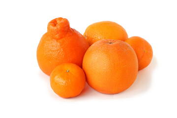 Mineola, grapefruit, tangerines and orange isolated on white