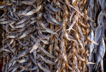 Bundles of dried salted goby or bullhead fish for sale at outdoors seafood market