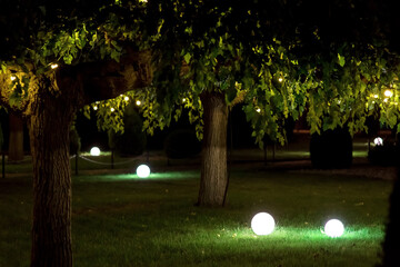 backyard garden with round balls of ground lanterns on mowed lawn and garlands on branches of...