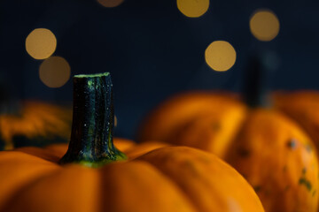 Creative autumn composition. pumpkins on a dark background with copy space. concept of harvest, thanksgiving, Halloween, invitation cards.