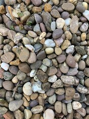 pebbles on the beach