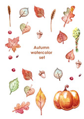 Watercolor autumn isolated collection