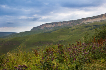 Gorgeous landscape with wildflowers in the foreground and mountains in the misty haze in the background. Karachay-Cherkessia.