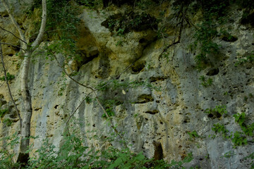 Among the high rocks, a blue mountain river flows in the canyon. The rocks are overgrown with forest, they form a picturesque landscape.