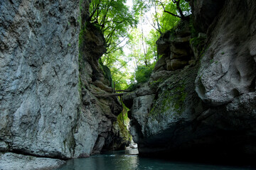 Among the high rocks, a blue mountain river flows in the canyon. The rocks are overgrown with forest, they form a picturesque landscape.