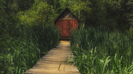 Domek na moczarach © spacer.z.aparatem 