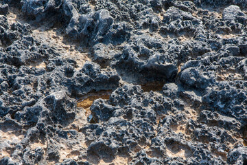 Stone Texture