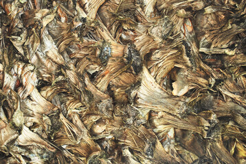 Dry autumn leaves background. Natural texture.