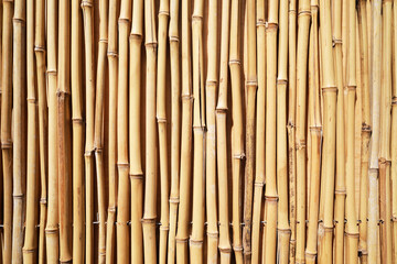 close up view of bamboo stick background