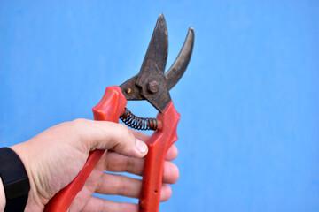 Garden cutter for removing branches and branches of plants
