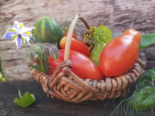 Obtain seeds from tomatoes for the next year