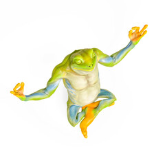 frog is doing yoga in isometric view