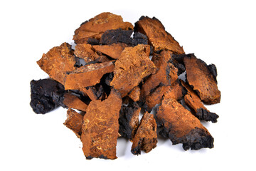 Chaga Mushroom Isolated Pieces - Natural Minerals