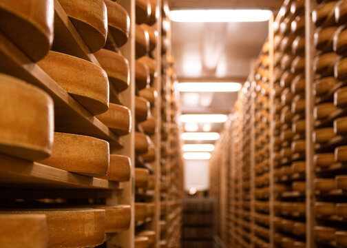 Gruyere cheese on shelves in L'Etivaz
