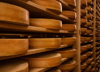 Gruyere cheese on shelves in L'Etivaz
