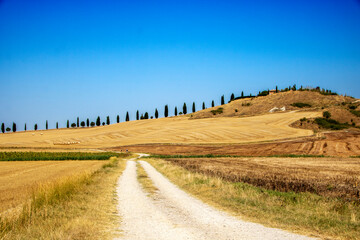 Obraz premium Val d'Orcia