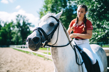Obraz premium Hobbies with animal for recreating on nature environment, Caucasian female professional jockey enjoying leisure with beautiful stallion for practicing and riding on horseback during dressage