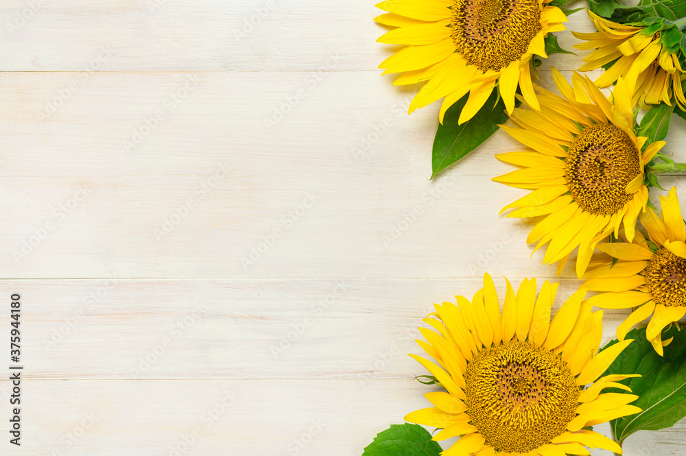 Wall mural Frame made of Yellow sunflowers on white wooden background top view copy space. Beautiful fresh sunflowers, yellow flowers bouquet. Harvest time, farming Agriculture autumn or summer floral background